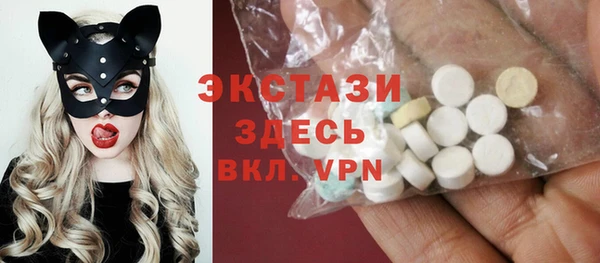 индика Армянск