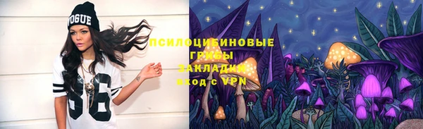 индика Армянск
